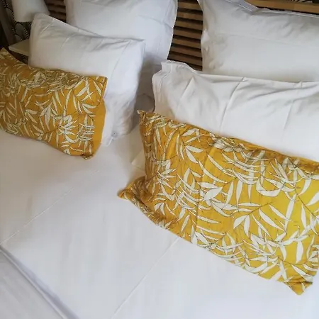 D'hote Noalhat - Zenith D'auvergne Apartment *